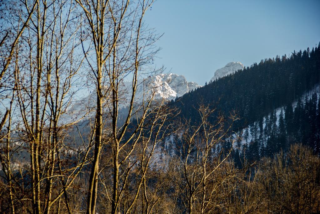 Dolina Resort Zakopane Kościelisko Kamer foto